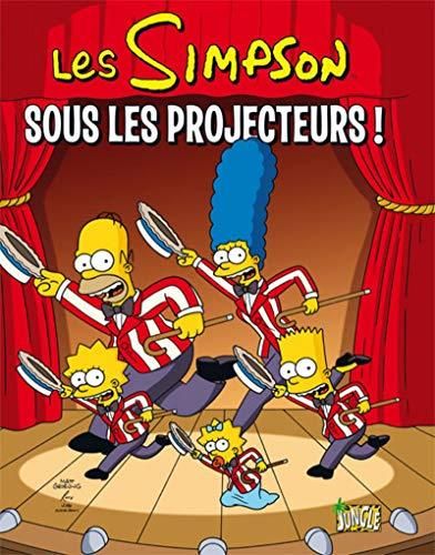 Les Simpson 13